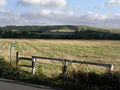 Uffington White Horse - geograph.org.uk - 73383.jpg