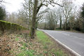 A 283 by Lodgefield Copse - geograph.org.uk - 337525.jpg