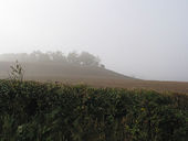 Slopes of Round Hill in October Fog - geograph.org.uk - 582164.jpg
