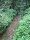 Zlatý potok v přírodní rezervaci Amálino údolí na území okresu Klatovy