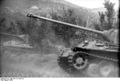 Bundesarchiv Bild 101I-478-2164-28, Italien, Panzer V (Panther) im Gelände.jpg