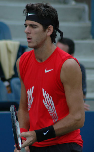Soubor:Juan Martin del Potro at the 2008 US Open5.jpg