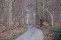 "Quiet Lane" - geograph.org.uk - 377846.jpg