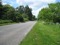B1000 Hertford Road in Tewin - geograph.org.uk - 1318207.jpg