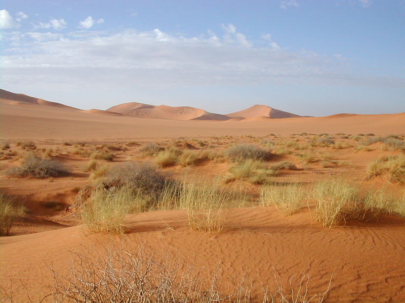 Soubor:Sahara.jpg