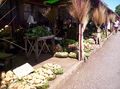 Talamahu Market.jpg