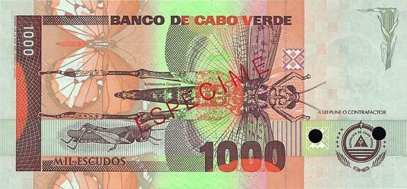 Soubor:Cape Verde - 1992 1000CVE note - back.jpg
