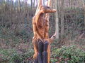 Chainsaw carving at Dean Heritage centre - geograph.org.uk - 1168984.jpg