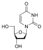 Struktura deoxyuridinu