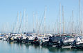 Yachts moored in the marina - geograph.org.uk - 1375995.jpg