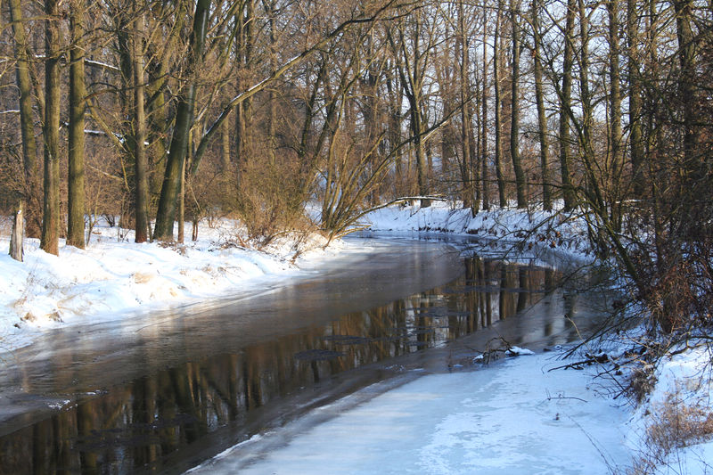 Soubor:Jaroměř winter 2010 2.jpg