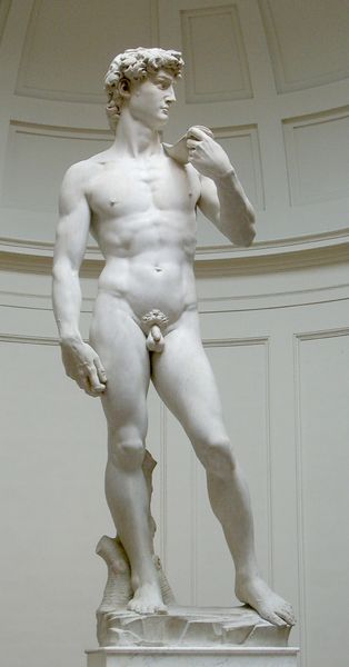 Soubor:David von Michelangelo.jpg