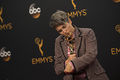 68th Emmy Awards Flickr03p09.jpg