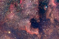 North America Nebula (NGC7000)-Flickr.jpg