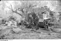 Bundesarchiv Bild 101I-311-0904-39A, Italien, Ausschlachten eines Panzers.jpg