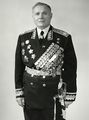 Маршал Советского Союза Герой Советского Союза Андрей Иванович Ерёменко.jpg