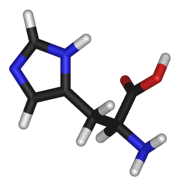 Soubor:L-histidine-3D-sticks2.png