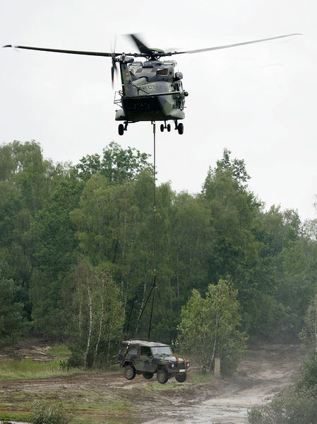 Soubor:Mehrzweckhubschrauber NH90 mit Wolf.jpg