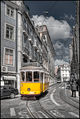 Lisbon Tram Flickr.jpg