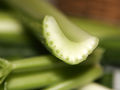 Celery cross section.jpg