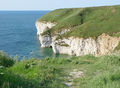 Chalk Cliffs, Flamborough Head - geograph.org.uk - 763099.jpg