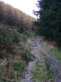 Tywi Forest track near Llyn Brianne, Powys - geograph.org.uk - 1059154.jpg