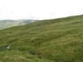 W ridge of Creag Dhubh Mhor - geograph.org.uk - 1388795.jpg