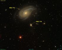 NGC 0770 SDSS.jpg