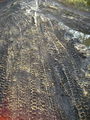 Tyre tracks, Ridgeway Lane - geograph.org.uk - 1199729.jpg