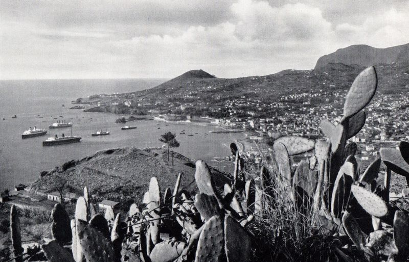 Soubor:Vista do Funchal, 1936.jpg