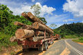 District-Tawau Sabah Logging-Trucks-01.jpg