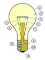 Incandescent light bulb.png