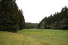 Přírodní rezervace Lipovské úpolínové louky - foto 1, Lipová, okres Prostějov.jpg