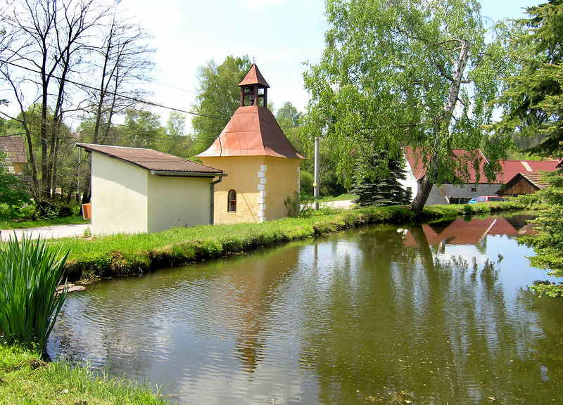 Soubor:Votice, Bučovice, common pond.jpg