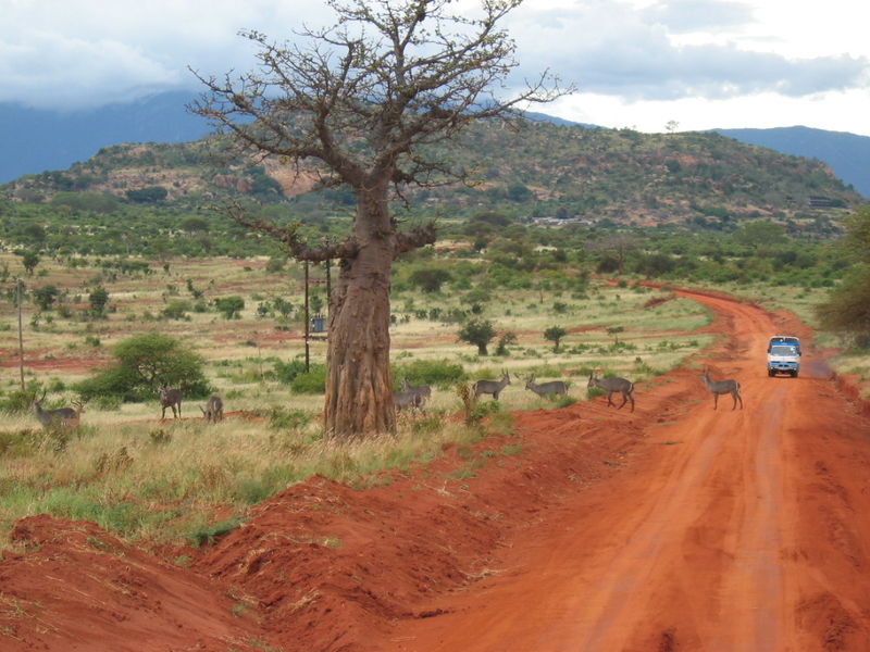 Soubor:African safari route.jpg
