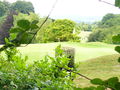 Tyrells Wood Golf Club - geograph.org.uk - 1395081.jpg