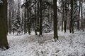 Michov in winter 2010 (5).JPG