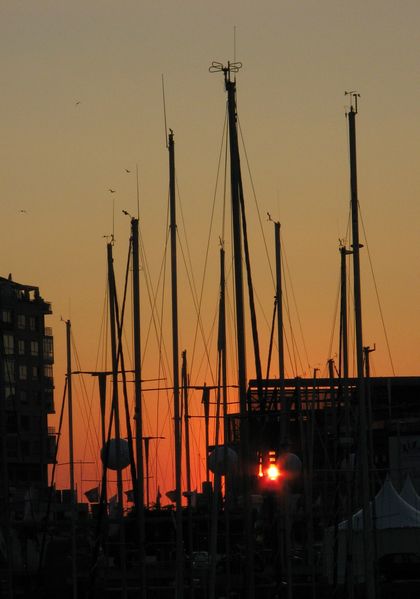 Soubor:Vigo dockside.jpg