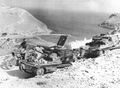 Captured L3 and L3 cc tankettes.jpg