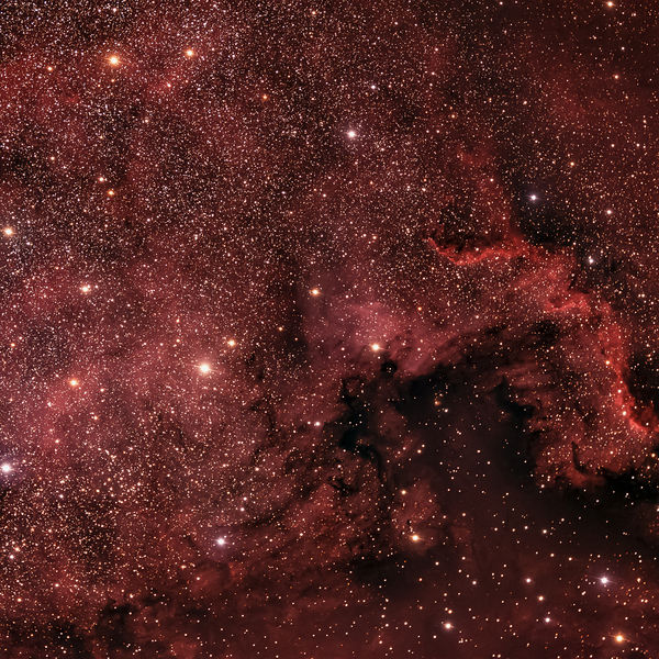 Soubor:North America Nebula (50317577736).jpg