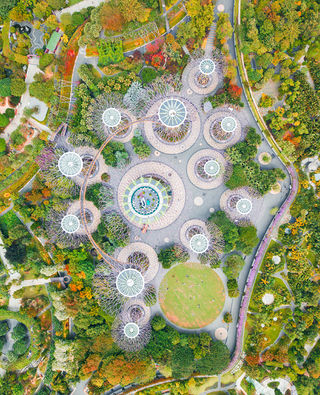 Botanická zahrada v Singapuru (2018)