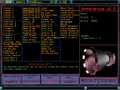 Imperium Galactica DOSBox-125.png