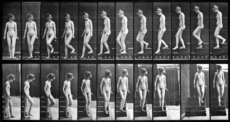 Soubor:Muybridge-1.jpg