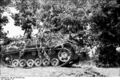 Bundesarchiv Bild 101I-476-2051-08A, Italien, getarntes Sturmgeschütz III.jpg