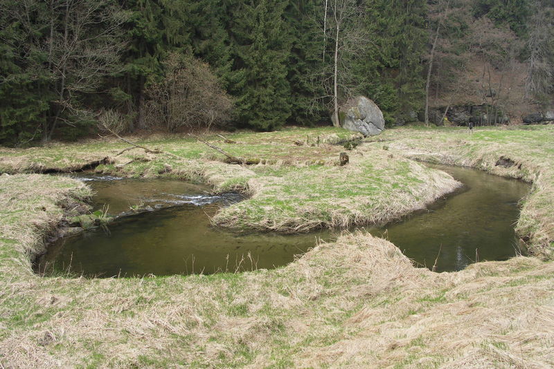 Soubor:Krinice Brtnicky most.jpg