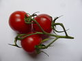 3-tomaten-2.jpg
