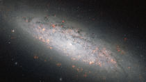 NGC 6503 HST.jpg