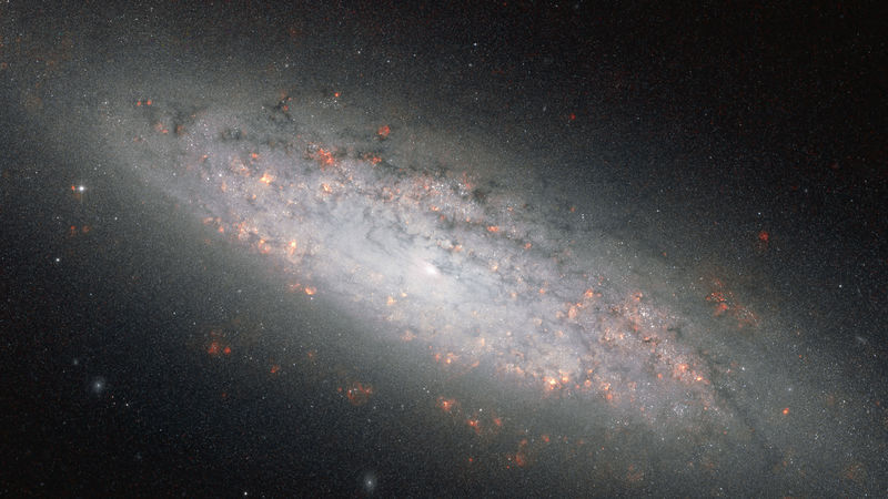 Soubor:NGC 6503 HST.jpg