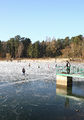Zamrzlý Šídlovský rybník, severní břeh a výpusť, 29. 12. 2007.jpg