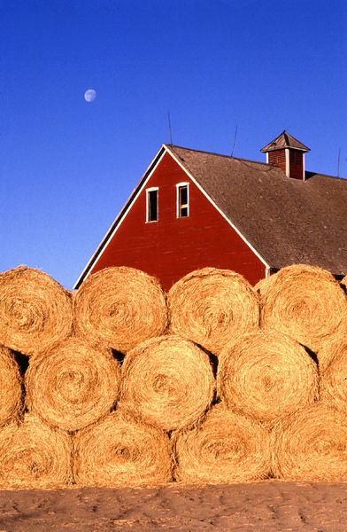 Soubor:Bales of hay.jpg